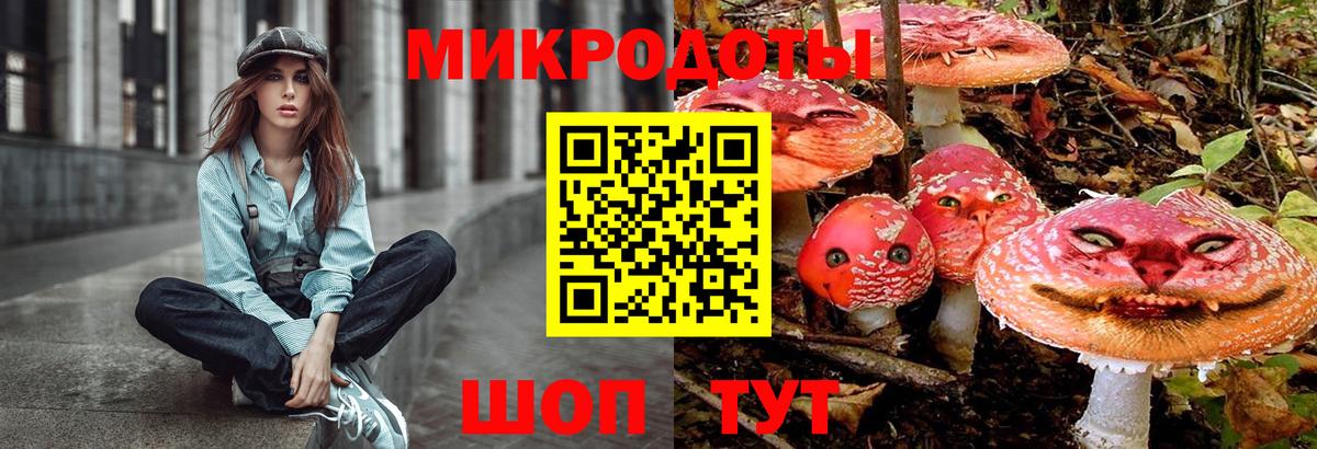 как найти   Галлюциногенные грибы Psilocybe  Вход с VPN  Псилоцибиновые грибы мухоморы  Кызыл 